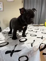 processed/3f8c31ac-a0d4-4948-ac27-08ce3bf3f73b/listing/e289b70f-8f15-4d47-9224-d5e030e849d4/da61fece-55a7-455e-817c-c529b5727619