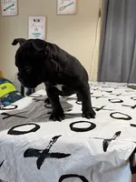 processed/3f8c31ac-a0d4-4948-ac27-08ce3bf3f73b/listing/e289b70f-8f15-4d47-9224-d5e030e849d4/eb559607-0b05-49e9-8cc9-52b820365d32