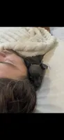 Timmy, a male Chihuahua for sale in Huntsville, AL – 5 of 7