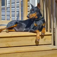 processed/3f90455f-57fa-4c37-9a16-48d67672a247/facility/0fddc7ee-ecd8-4666-96cf-c0b2a89a1bd4