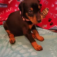 processed/3f90455f-57fa-4c37-9a16-48d67672a247/facility/12d869ff-3618-499a-b0dd-067f95feffc7