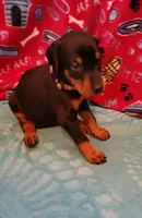 processed/3f90455f-57fa-4c37-9a16-48d67672a247/facility/12d869ff-3618-499a-b0dd-067f95feffc7