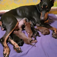 processed/3f90455f-57fa-4c37-9a16-48d67672a247/facility/43000bb8-7671-4931-a393-69102b44faa7