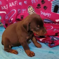 processed/3f90455f-57fa-4c37-9a16-48d67672a247/facility/7501a2b5-1f16-4234-88a4-90c877549703