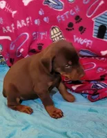 processed/3f90455f-57fa-4c37-9a16-48d67672a247/facility/7501a2b5-1f16-4234-88a4-90c877549703