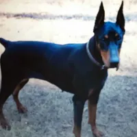 processed/3f90455f-57fa-4c37-9a16-48d67672a247/facility/76d6c3fc-926f-43c8-b868-b74d189dd85c