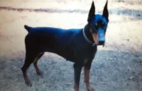 processed/3f90455f-57fa-4c37-9a16-48d67672a247/facility/76d6c3fc-926f-43c8-b868-b74d189dd85c