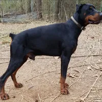 processed/3f90455f-57fa-4c37-9a16-48d67672a247/facility/8eaaed3c-e5e1-4988-aae9-c58a0737fe74