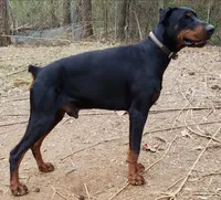 processed/3f90455f-57fa-4c37-9a16-48d67672a247/facility/8eaaed3c-e5e1-4988-aae9-c58a0737fe74