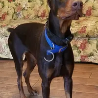 processed/3f90455f-57fa-4c37-9a16-48d67672a247/facility/9a063b57-5ce2-4e44-abe1-fa793b6375ec