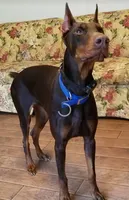 processed/3f90455f-57fa-4c37-9a16-48d67672a247/facility/9a063b57-5ce2-4e44-abe1-fa793b6375ec