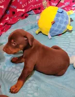 processed/3f90455f-57fa-4c37-9a16-48d67672a247/facility/c51a782d-b513-40b5-98eb-0eeafb887f40