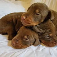 processed/3f90455f-57fa-4c37-9a16-48d67672a247/facility/d9f97ab0-4124-41e9-abcd-74e059f17760