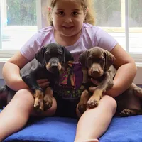 processed/3f90455f-57fa-4c37-9a16-48d67672a247/facility/e3d9794c-4d9f-440e-8c78-f6705cfe279e