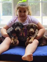 processed/3f90455f-57fa-4c37-9a16-48d67672a247/facility/e3d9794c-4d9f-440e-8c78-f6705cfe279e