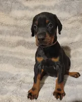 processed/3f90455f-57fa-4c37-9a16-48d67672a247/listing/27a6dd9e-4f11-407c-b366-a2b8f9437843/af41e87f-ec7c-4a99-95c1-3d22a2a3ade3