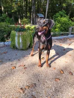 processed/3f90455f-57fa-4c37-9a16-48d67672a247/listing/f75f7fb6-baf6-4d02-9a29-8072cb31f118/ae856c19-5e3b-4755-b123-fc3163395252