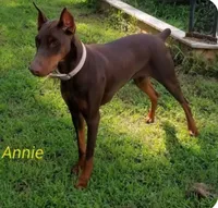 processed/3f90455f-57fa-4c37-9a16-48d67672a247/listing/f9772797-9ba9-4daf-a108-4debc58c6174/ef8266cf-09ca-4fda-9269-df3a1d083788