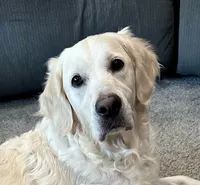 processed/3f91bfee-4e4e-4960-b3e7-289d222f0dcd/listing/55c3ddab-4801-4a2f-af35-cb2d25c7a86b/1e90b3e9-8bdb-4502-9d23-218b0cbbf2ca