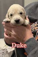 processed/3f91bfee-4e4e-4960-b3e7-289d222f0dcd/listing/55c3ddab-4801-4a2f-af35-cb2d25c7a86b/39bc9088-0cf9-4be6-8072-6514612f0c9e