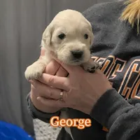 processed/3f91bfee-4e4e-4960-b3e7-289d222f0dcd/listing/55c3ddab-4801-4a2f-af35-cb2d25c7a86b/6bf2edf6-9453-4fc7-b922-4f2e0c167c70