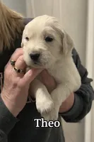 processed/3f91bfee-4e4e-4960-b3e7-289d222f0dcd/listing/55c3ddab-4801-4a2f-af35-cb2d25c7a86b/9060860d-624b-4e56-b8d6-641738e99d2d