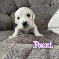 processed/3f91bfee-4e4e-4960-b3e7-289d222f0dcd/listing/7a978f9f-f30a-4510-937d-98c624fb033f/153272fa-29fe-4354-9011-f828fb3ddeae