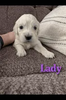 processed/3f91bfee-4e4e-4960-b3e7-289d222f0dcd/listing/7a978f9f-f30a-4510-937d-98c624fb033f/b85df899-96f7-4fcb-9e5e-68ea7eadfb9d