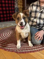 processed/3f9a98c8-81e2-4b17-b45b-f2237ca0e31f/listing/8ff7bb98-bce3-4e19-b4fe-7a1cc84e7c3b/5b192ada-4b8b-4921-b191-4b38de570582