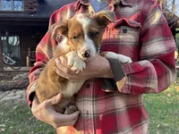 processed/3f9a98c8-81e2-4b17-b45b-f2237ca0e31f/listing/8ff7bb98-bce3-4e19-b4fe-7a1cc84e7c3b/8635423f-a9fe-4b66-a2b3-3a95d6fe2b99