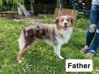 processed/3f9a98c8-81e2-4b17-b45b-f2237ca0e31f/listing/8ff7bb98-bce3-4e19-b4fe-7a1cc84e7c3b/8a5b925b-2ab7-4ac5-87bb-54a6c9f10f00