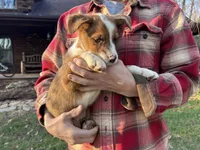 processed/3f9a98c8-81e2-4b17-b45b-f2237ca0e31f/listing/8ff7bb98-bce3-4e19-b4fe-7a1cc84e7c3b/c7c8802d-710c-4db3-9ac9-8f7e3e11c8c3