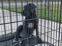 processed/3f9e4922-1f00-4c80-aa34-3ac36fac6157/listing/2e567e42-b96b-488a-9069-9bbc717cbfd2/7516a03a-aea6-477d-8273-ebc6c9ce5670