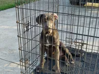 processed/3f9e4922-1f00-4c80-aa34-3ac36fac6157/listing/624f91fb-af13-418a-a0b4-d434b972b574/6c54af8a-60c8-4599-814f-da5321e58e9c