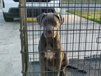 processed/3f9e4922-1f00-4c80-aa34-3ac36fac6157/listing/624f91fb-af13-418a-a0b4-d434b972b574/86b3740f-1b29-4567-ac92-4fd6cfed7d40