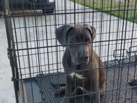 processed/3f9e4922-1f00-4c80-aa34-3ac36fac6157/listing/6791c916-9892-4c43-a0e7-9b8b541e7aba/95418c02-b24e-46b9-9875-24d1f7992360