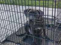 processed/3f9e4922-1f00-4c80-aa34-3ac36fac6157/listing/6791c916-9892-4c43-a0e7-9b8b541e7aba/a330e431-ec01-4266-8483-557cf84b9932