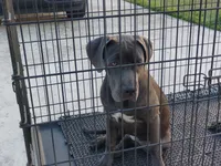 processed/3f9e4922-1f00-4c80-aa34-3ac36fac6157/listing/6791c916-9892-4c43-a0e7-9b8b541e7aba/d1795460-ca00-4b6b-829c-a30ea65b6503