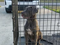 processed/3f9e4922-1f00-4c80-aa34-3ac36fac6157/listing/bf96a974-daba-4b59-82ef-427302070844/4db4cd93-ba17-40b4-a1cf-630021389c55