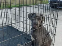 processed/3f9e4922-1f00-4c80-aa34-3ac36fac6157/listing/bf96a974-daba-4b59-82ef-427302070844/8092d1b0-5adc-4400-958e-6e80356f34db