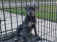 processed/3f9e4922-1f00-4c80-aa34-3ac36fac6157/listing/bf96a974-daba-4b59-82ef-427302070844/ea06b89c-97eb-4af7-8bd2-7b57c0bd97c5