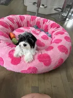 processed/3f9e934f-7cbd-4a62-b9b3-a4049fe4beb6/listing/2135dbb2-2dd0-44b5-8c9a-60bd82cc3721/1b1408f6-3911-4d37-93af-7a5006fe352a