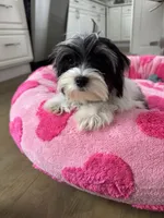 processed/3f9e934f-7cbd-4a62-b9b3-a4049fe4beb6/listing/2135dbb2-2dd0-44b5-8c9a-60bd82cc3721/5846f476-7174-4a9e-8a6a-abe30d4c76a5