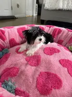 processed/3f9e934f-7cbd-4a62-b9b3-a4049fe4beb6/listing/2135dbb2-2dd0-44b5-8c9a-60bd82cc3721/b09d370a-11df-4a68-8f85-99bc8d86a208