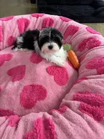 processed/3f9e934f-7cbd-4a62-b9b3-a4049fe4beb6/listing/2135dbb2-2dd0-44b5-8c9a-60bd82cc3721/f257ceaa-921e-4146-a78e-86050e1ebf25