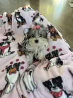 processed/3f9e934f-7cbd-4a62-b9b3-a4049fe4beb6/listing/d0843c42-dc45-49d8-a13e-1c8250c14685/ac071a32-ee16-444b-81b9-b6162be50a0a