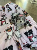 processed/3f9e934f-7cbd-4a62-b9b3-a4049fe4beb6/listing/d0843c42-dc45-49d8-a13e-1c8250c14685/c6758fed-cb6e-4a7f-9bd8-71c68ec759a7