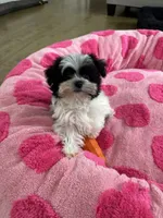 processed/3f9e934f-7cbd-4a62-b9b3-a4049fe4beb6/listing/f1e840c3-6673-41c7-b9d2-b3d4f806d058/11988c3f-68c5-4231-b8cd-cd393deb1547