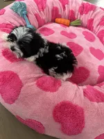 processed/3f9e934f-7cbd-4a62-b9b3-a4049fe4beb6/listing/f1e840c3-6673-41c7-b9d2-b3d4f806d058/fe94da98-a4b2-493c-8c43-00d09e359317