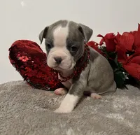 processed/3f9faa23-7158-4592-91fc-ffb0d48c3400/listing/1b5fc223-b677-473c-98d8-f44b7fe8490d/3eb0a2f5-3c3c-4934-ac4d-572b9c0478ad